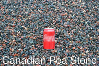 Canadian Pea Stone 3/8"