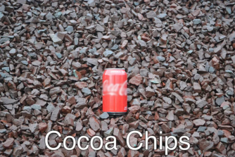 Cocoa Chips